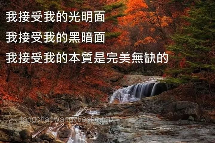 “鳄鱼效应”下的情感断崖：李琳的情感自救之路